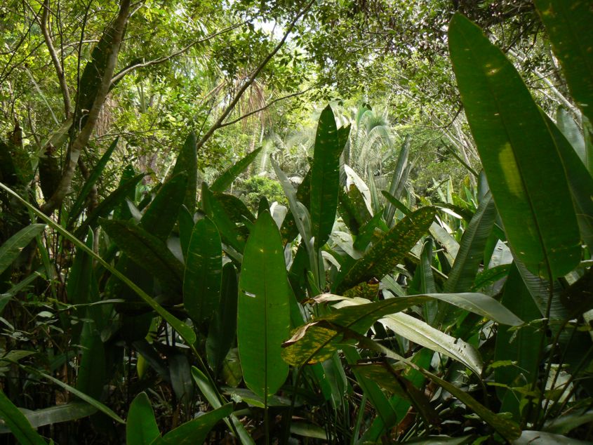 Along the trail